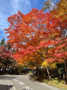 軽井沢の紅葉