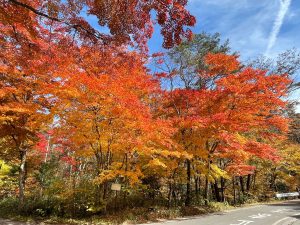 軽井沢の紅葉