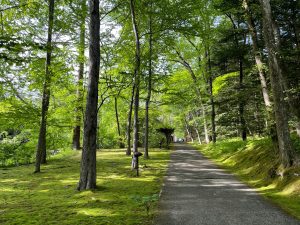 軽井沢の苔生した庭